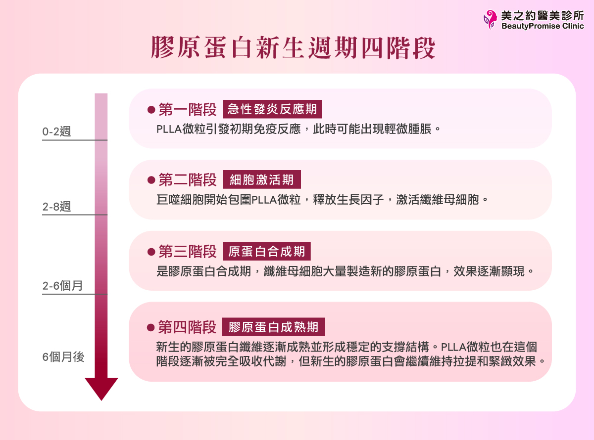 童妍針膠原新生四階段
