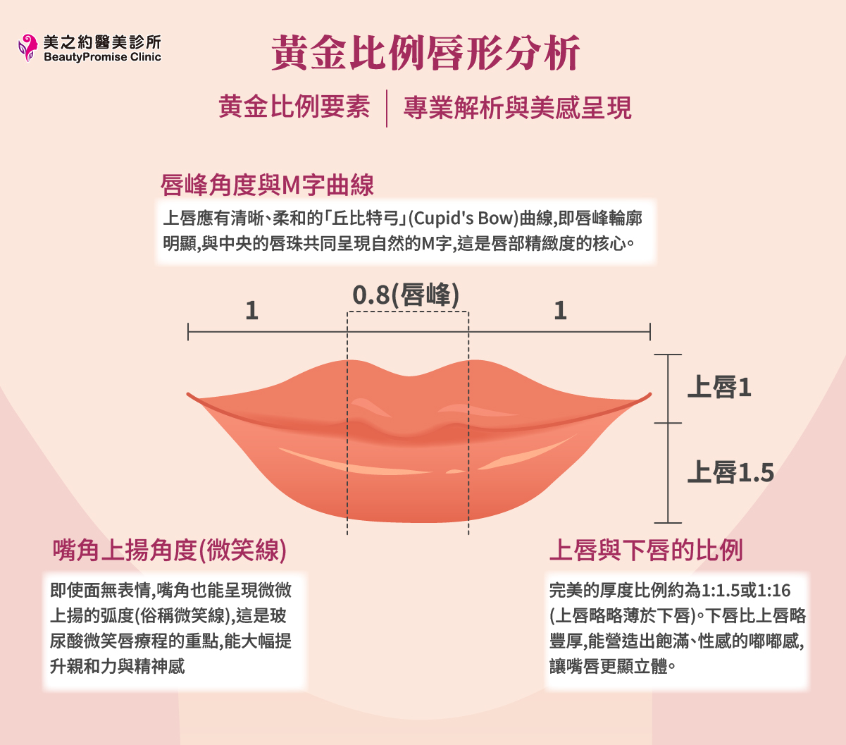 微笑唇的3大「黃金比例」