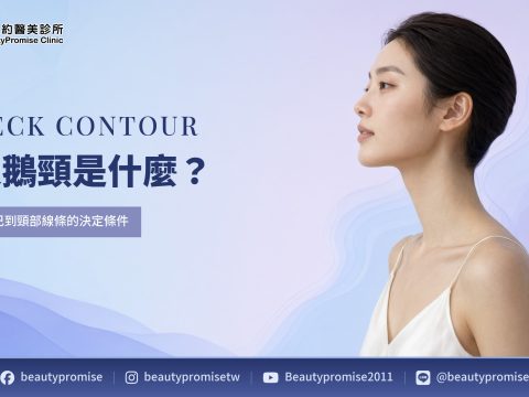 成人側臉與下巴到頸部線條的外觀示意